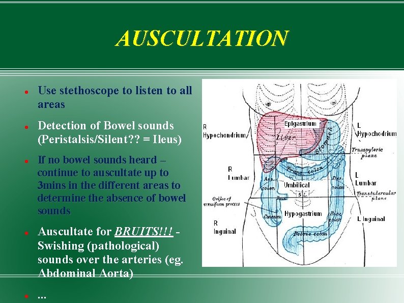 AUSCULTATION Use stethoscope to listen to all areas Detection of Bowel sounds (Peristalsis/Silent? ?