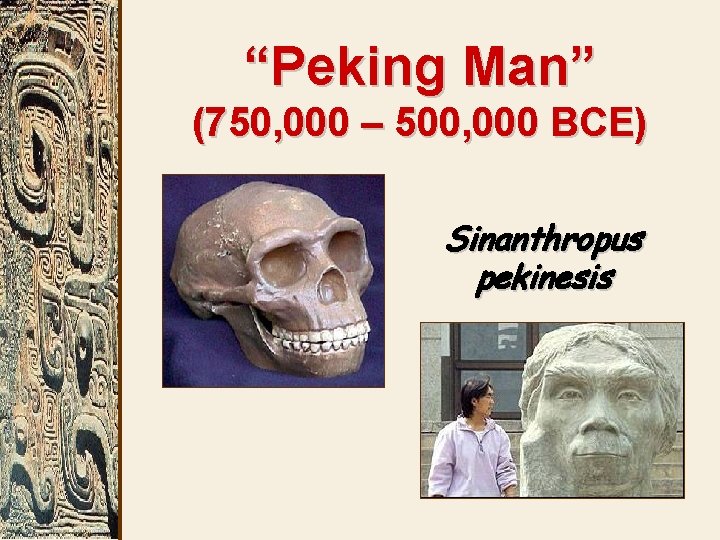 “Peking Man” (750, 000 – 500, 000 BCE) Sinanthropus pekinesis 