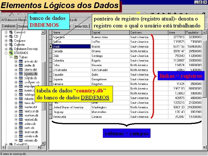 Elementos Lógicos dos Dados banco de dados DBDEMOS ponteiro de registro (registro atual)- denota