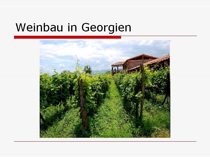 Weinbau in Georgien 