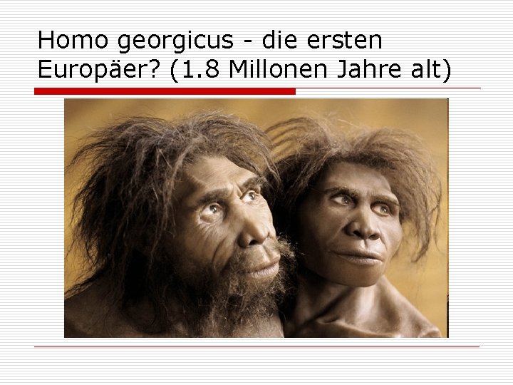 Homo georgicus - die ersten Europäer? (1. 8 Millonen Jahre alt) 