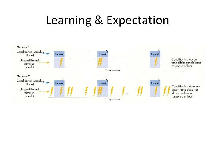 Learning & Expectation 