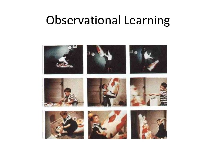 Observational Learning 