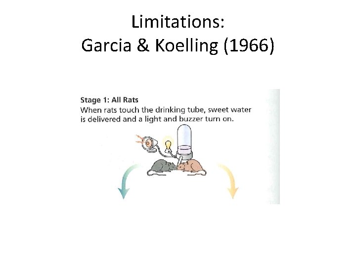 Limitations: Garcia & Koelling (1966) 
