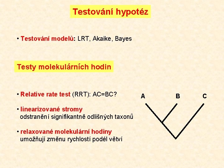 Testování hypotéz • Testování modelů: LRT, Akaike, Bayes Testy molekulárních hodin • Relative rate