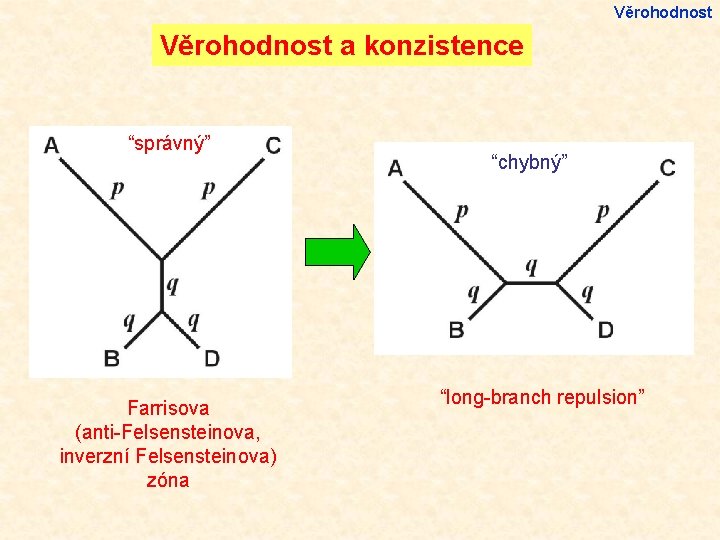 Věrohodnost a konzistence “správný” Farrisova (anti-Felsensteinova, inverzní Felsensteinova) zóna “chybný” “long-branch repulsion” 