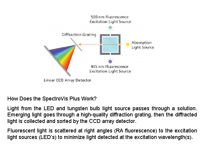 How Does the Spectro. Vis Plus Work? Light from the LED and tungsten bulb