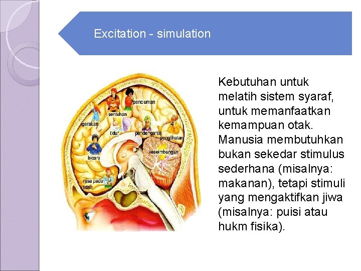 Excitation - simulation Kebutuhan untuk melatih sistem syaraf, untuk memanfaatkan kemampuan otak. Manusia membutuhkan