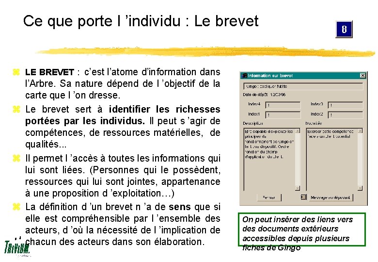 Ce que porte l ’individu : Le brevet z LE BREVET : c’est l’atome
