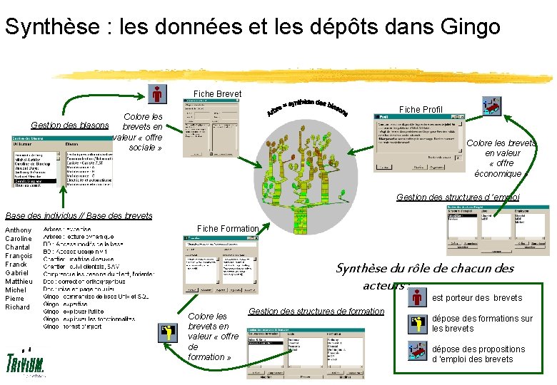 Synthèse : les données et les dépôts dans Gingo Fiche Brevet Fiche Profil Colore