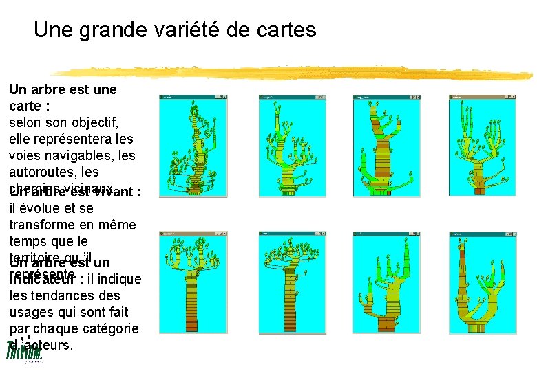 Une grande variété de cartes Un arbre est une carte : selon son objectif,