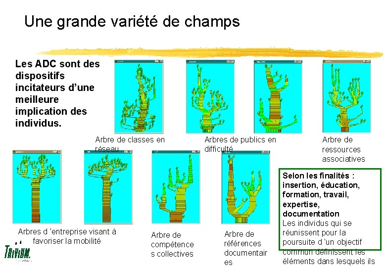 Une grande variété de champs Les ADC sont des dispositifs incitateurs d’une meilleure implication