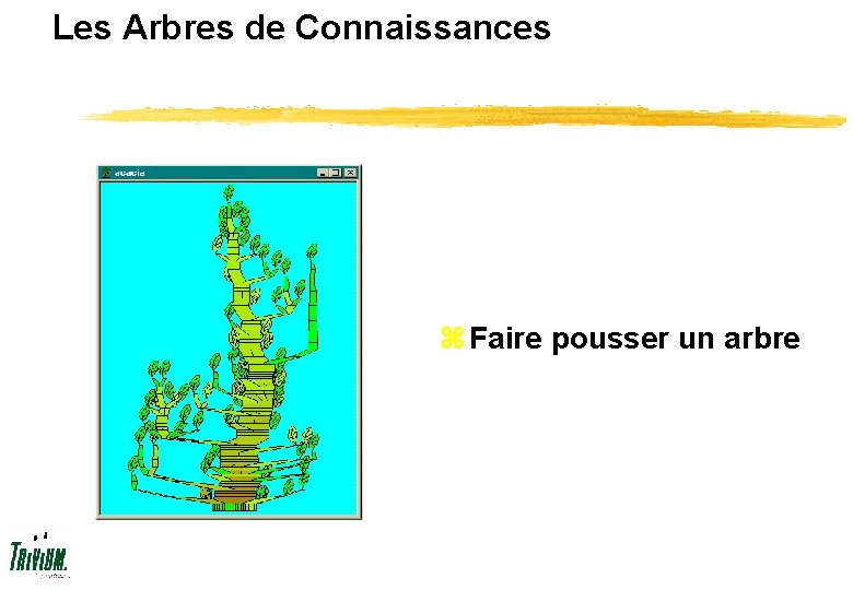 Les Arbres de Connaissances z Faire pousser un arbre 