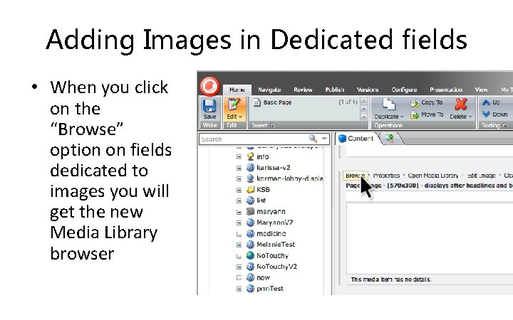 Adding Images in Dedicated fields • When you click on the “Browse” option on