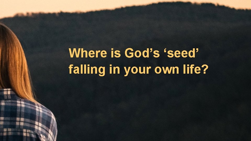Where is God’s ‘seed’ falling in your own life? 