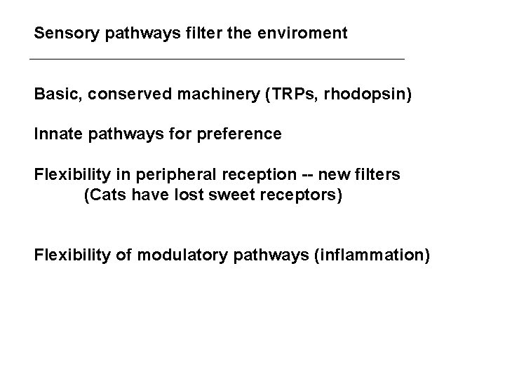 Sensory pathways filter the enviroment Basic, conserved machinery (TRPs, rhodopsin) Innate pathways for preference