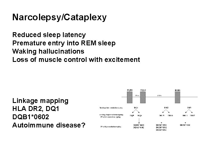 Narcolepsy/Cataplexy Reduced sleep latency Premature entry into REM sleep Waking hallucinations Loss of muscle