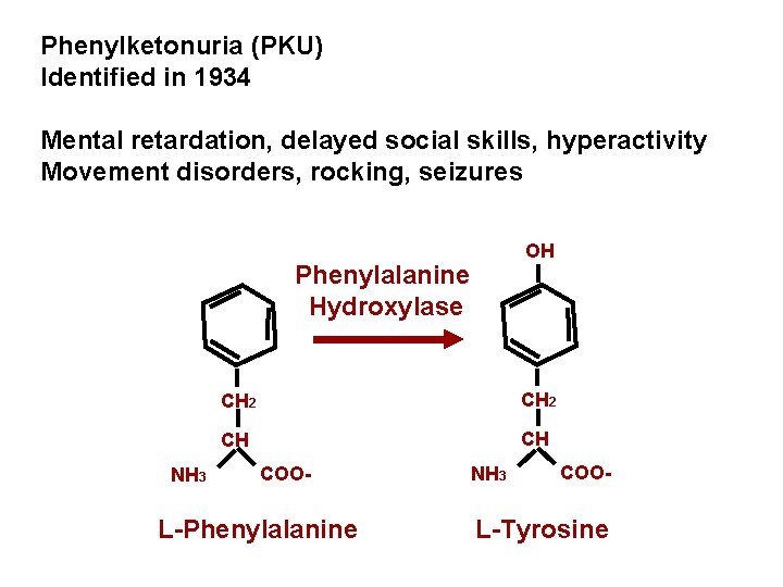 Phenylketonuria (PKU) Identified in 1934 Mental retardation, delayed social skills, hyperactivity Movement disorders, rocking,