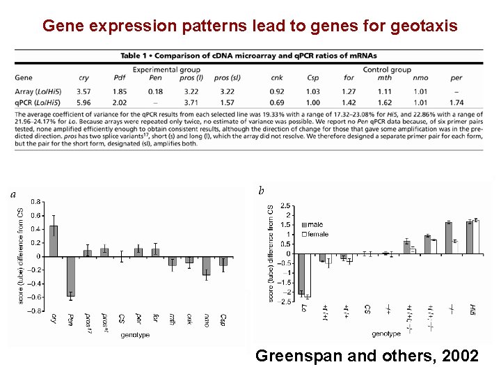 Gene expression patterns lead to genes for geotaxis Greenspan and others, 2002 
