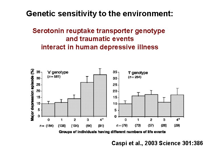 Genetic sensitivity to the environment: Serotonin reuptake transporter genotype and traumatic events interact in