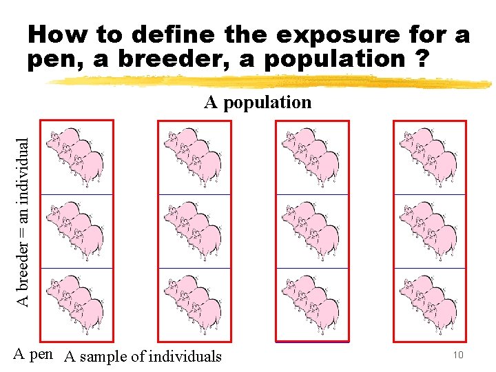 How to define the exposure for a pen, a breeder, a population ? A