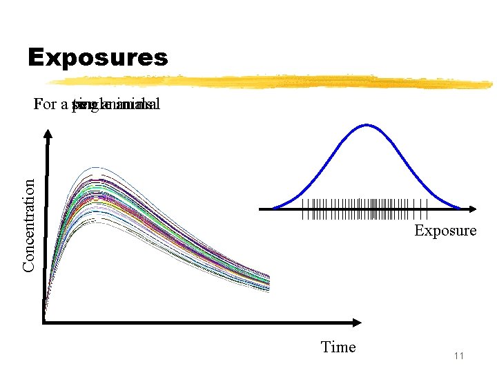 Exposures Concentration For a pen single animal two animals Exposure Time 11 