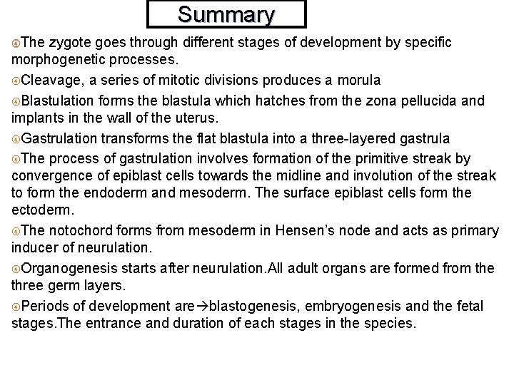 Summary The zygote goes through different stages of development by specific morphogenetic processes. Cleavage,