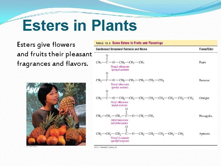 Esters in Plants Esters give flowers and fruits their pleasant fragrances and flavors. 