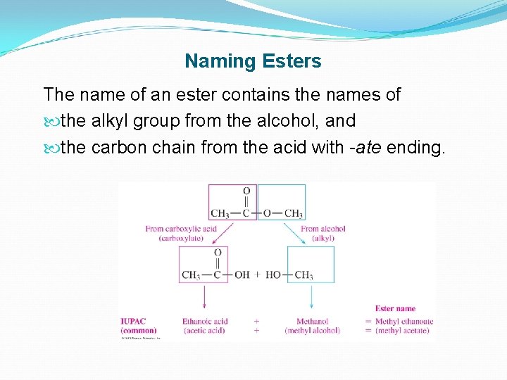 Naming Esters The name of an ester contains the names of the alkyl group