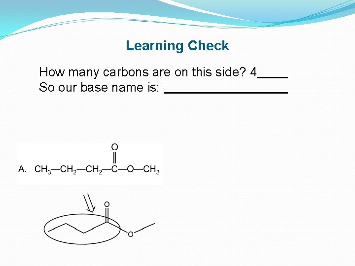 Learning Check How many carbons are on this side? 4 So our base name