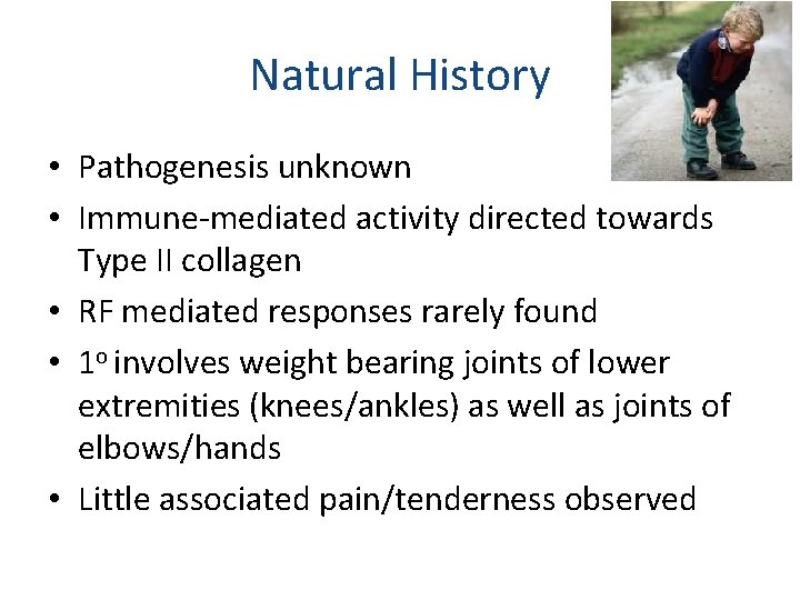 Natural History • Pathogenesis unknown • Immune-mediated activity directed towards Type II collagen •