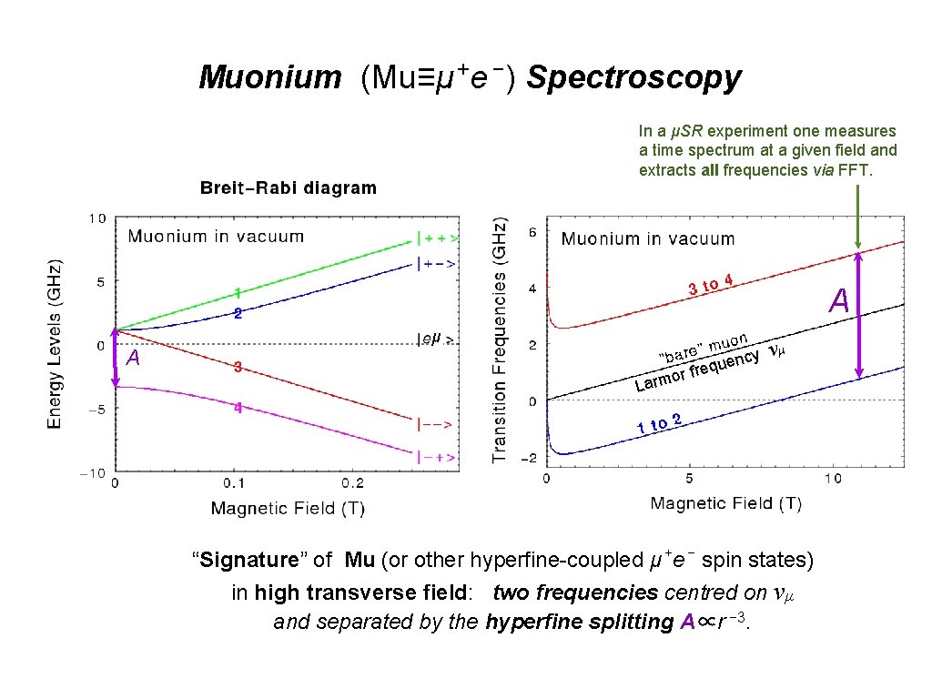 + − Muonium (Mu≡μ e ) Spectroscopy In a μSR experiment one measures a