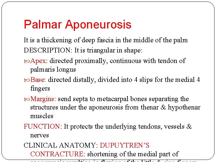 Palmar Aponeurosis It is a thickening of deep fascia in the middle of the