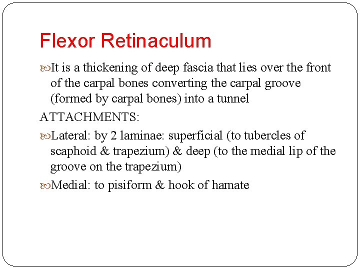 Flexor Retinaculum It is a thickening of deep fascia that lies over the front