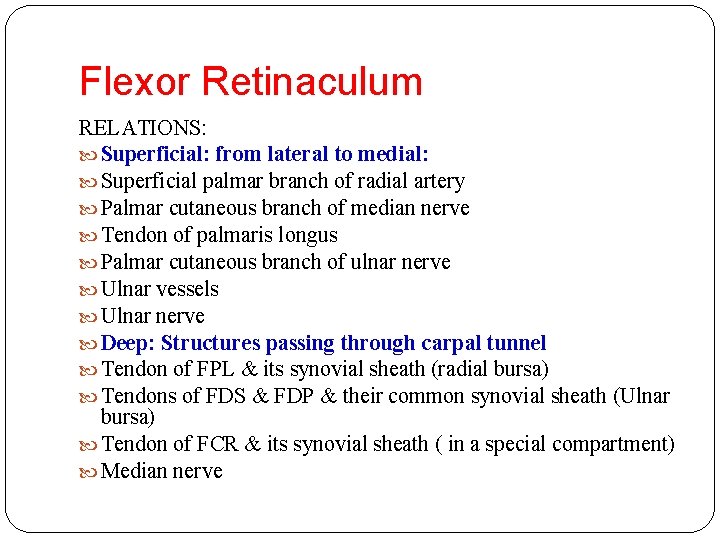 Flexor Retinaculum RELATIONS: Superficial: from lateral to medial: Superficial palmar branch of radial artery