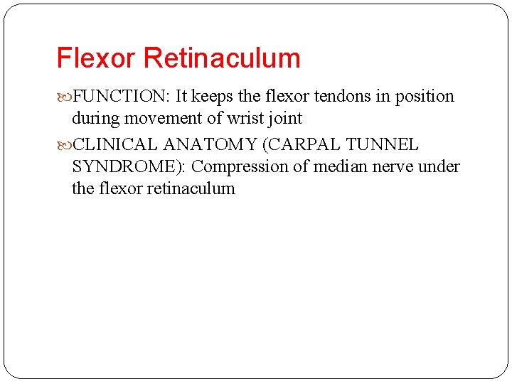 Flexor Retinaculum FUNCTION: It keeps the flexor tendons in position during movement of wrist