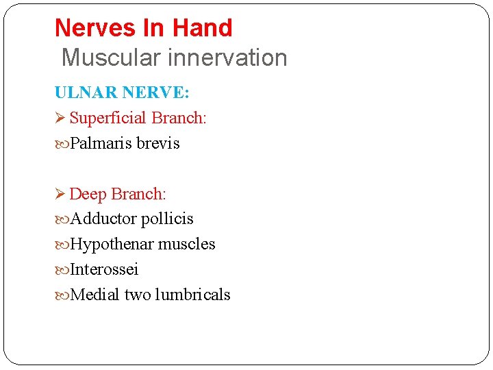 Nerves In Hand Muscular innervation ULNAR NERVE: Ø Superficial Branch: Palmaris brevis Ø Deep