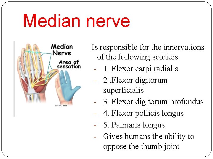 Median nerve Is responsible for the innervations of the following soldiers. - 1. Flexor