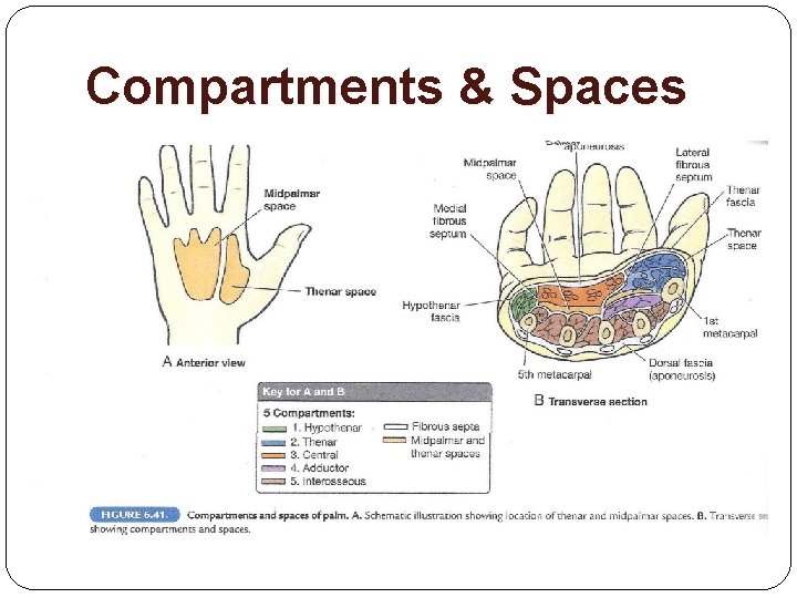 Compartments & Spaces 