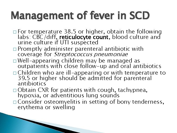 Management of fever in SCD � For temperature 38. 5 or higher, obtain the