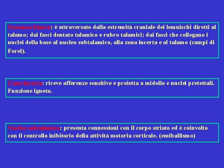 Sostanza bianca: è attraversato dalla estremità craniale dei lemnischi diretti al talamo; dai fasci