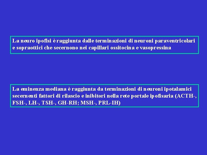 La neuro ipofisi è raggiunta dalle terminazioni di neuroni paraventricolari e sopraottici che secernono