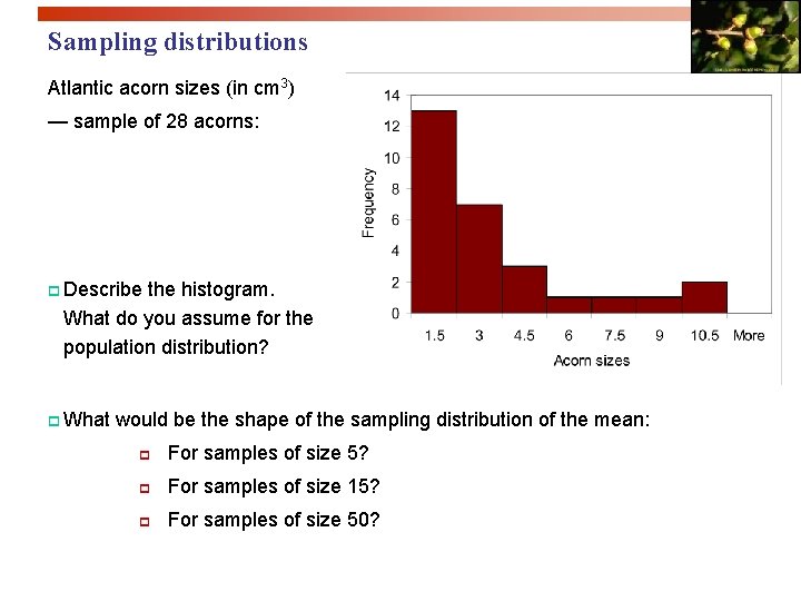 Sampling distributions Atlantic acorn sizes (in cm 3) — sample of 28 acorns: p