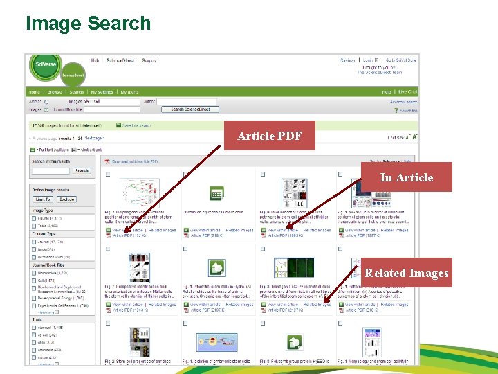 Image Search Article PDF In Article Related Images 