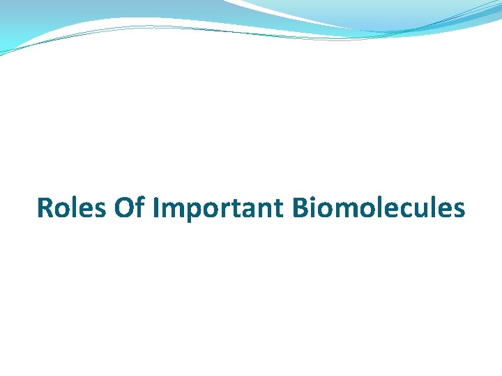 Roles Of Important Biomolecules Roles Of Important Biomolecules