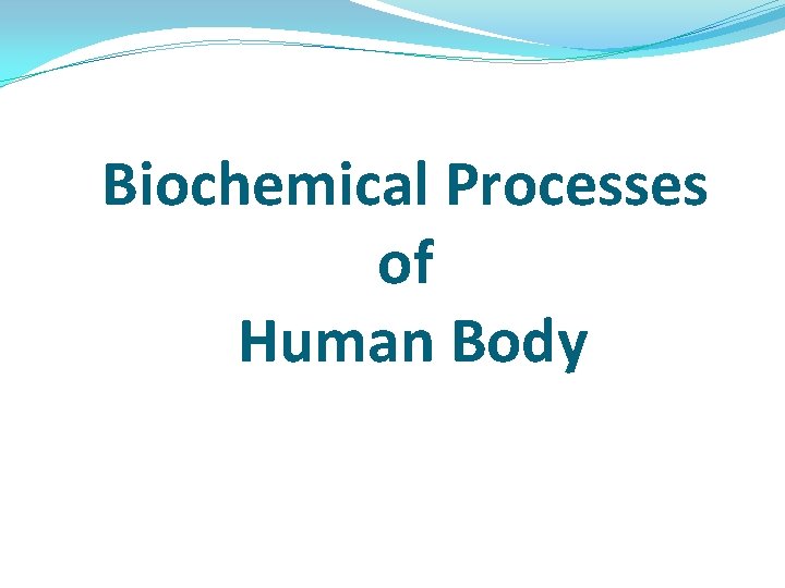 Biochemical Processes of Human Body Biochemical Processes of Human Body