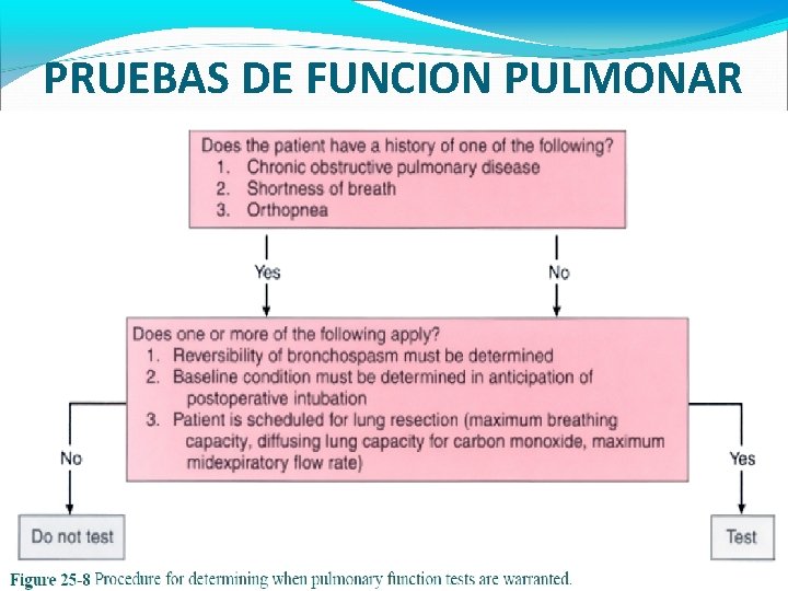 PRUEBAS DE FUNCION PULMONAR 