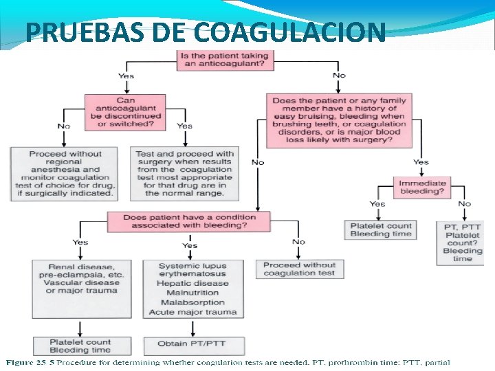 PRUEBAS DE COAGULACION 