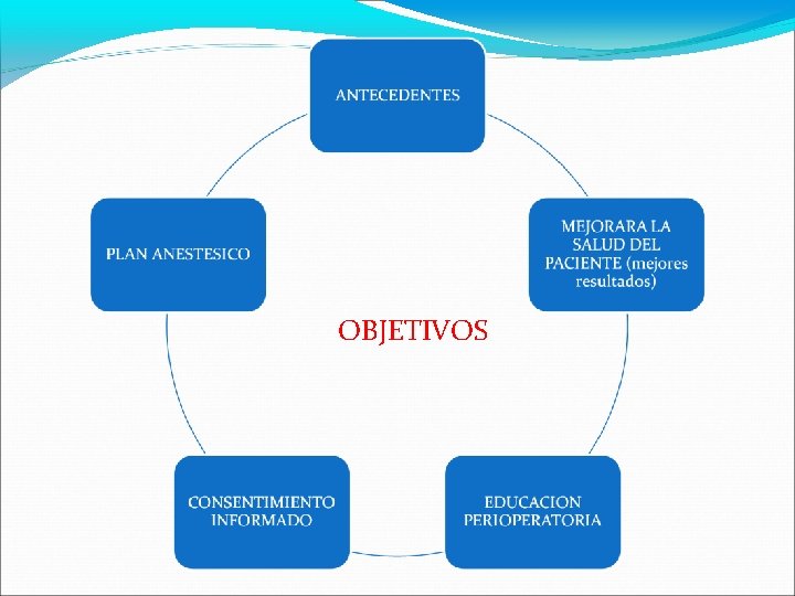 OBJETIVOS 