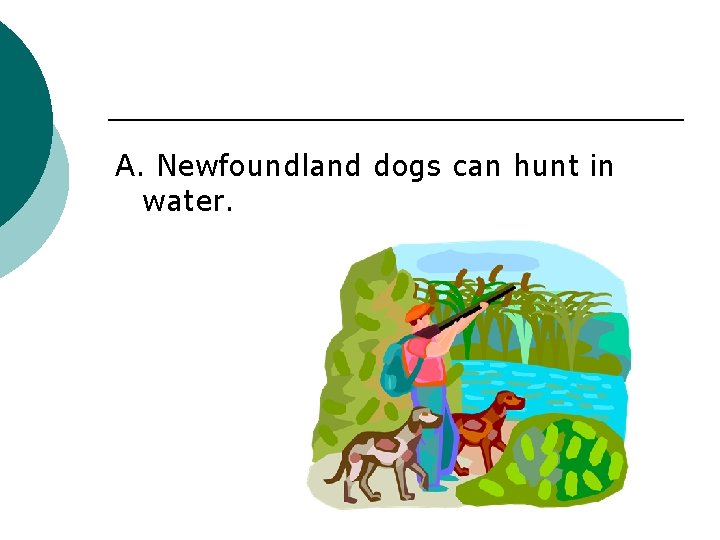 A. Newfoundland dogs can hunt in water. 